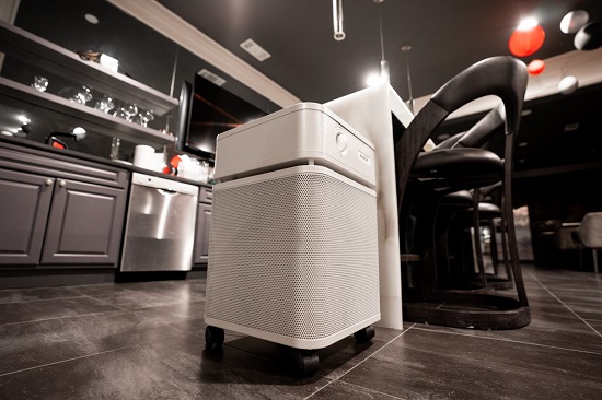 如何解決空氣質量問題？空氣凈化器選購指南