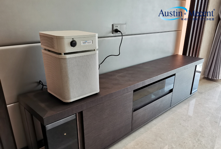 室內裝飾建議用地毯嗎？環保材料是無甲醛嗎？